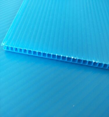 Özel Boyutlu Dönüştürülebilir Suya Karşı Dayanıklı PP Plastik Gürültülü Yaprak Kutu Ambalajı