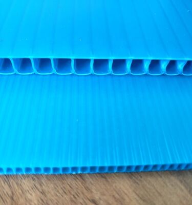 Özel Boyutlu Dönüştürülebilir Suya Karşı Dayanıklı PP Plastik Gürültülü Yaprak Kutu Ambalajı