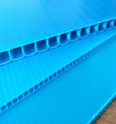 Özel Boyutlu Dönüştürülebilir Suya Karşı Dayanıklı PP Plastik Gürültülü Yaprak Kutu Ambalajı