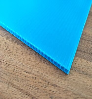 Özel Boyutlu Dönüştürülebilir Suya Karşı Dayanıklı PP Plastik Gürültülü Yaprak Kutu Ambalajı