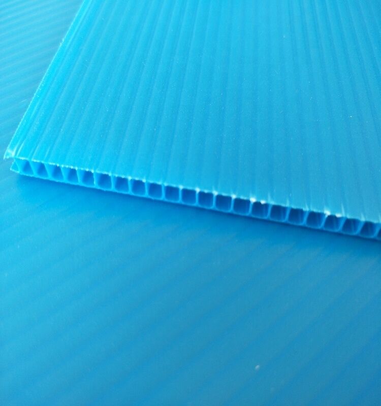 Özel Boyutlu Dönüştürülebilir Suya Karşı Dayanıklı PP Plastik Gürültülü Yaprak Kutu Ambalajı